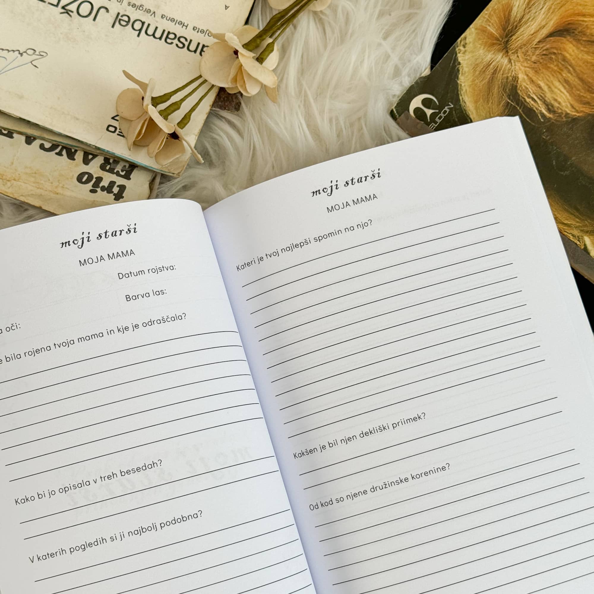 Babica, naj bo tvoja zgodba večna (mehka vezava)