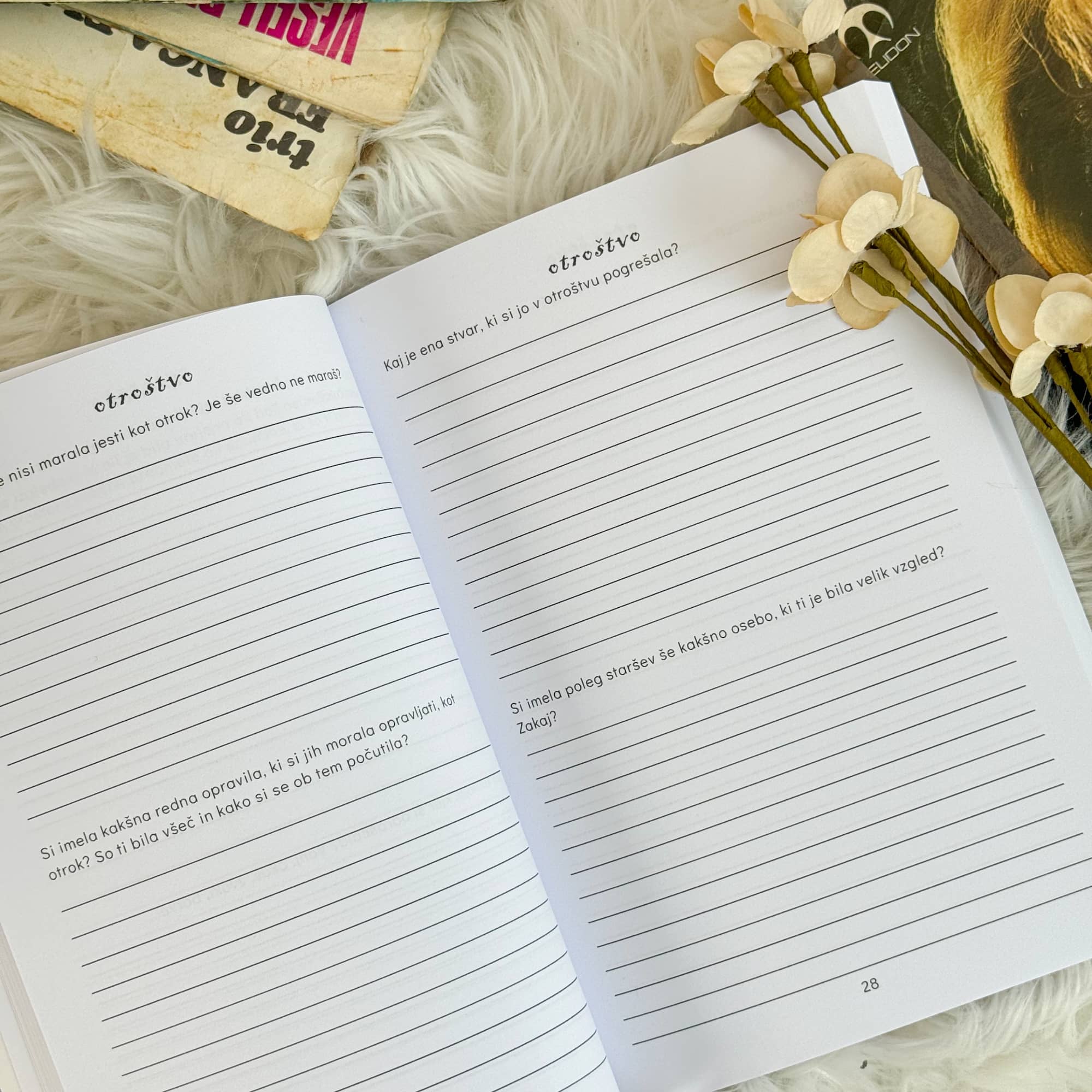 Babica in dedek, naj bo vajina zgodba večna (mehka vezava)