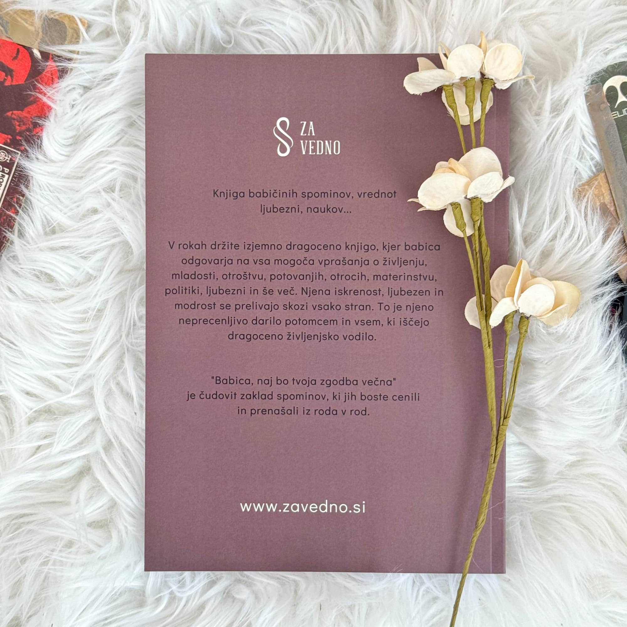 Babica, naj bo tvoja zgodba večna (mehka vezava)