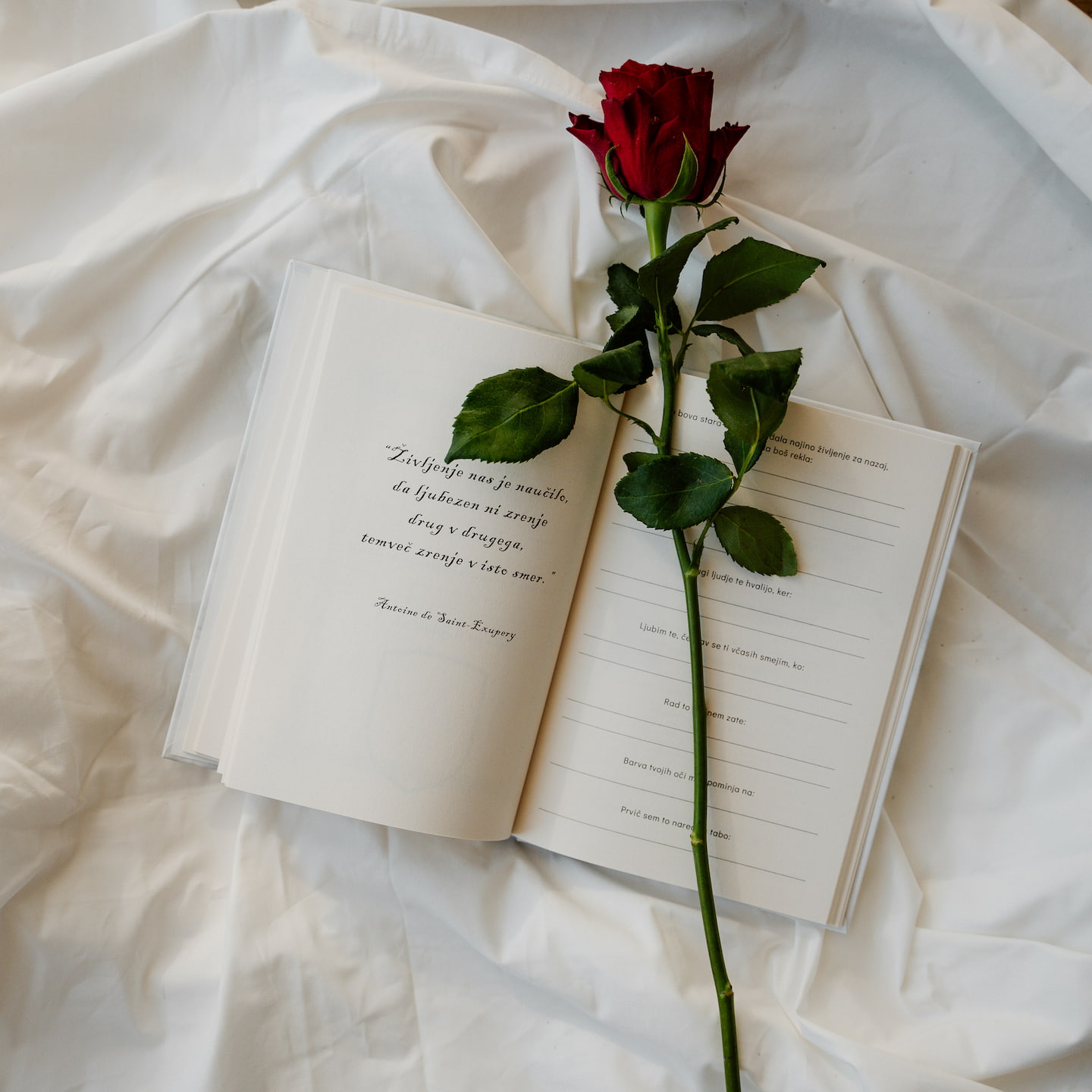 Draga, zakaj te ljubim