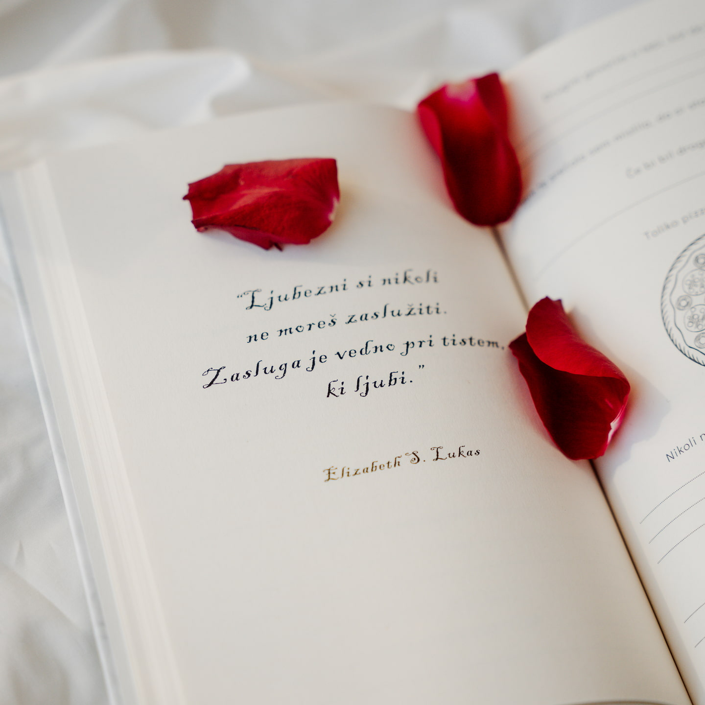 Dragi, zakaj te ljubim